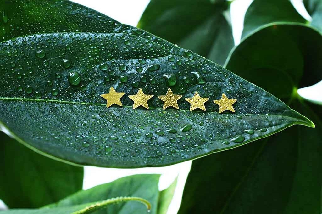 amazon autmatic reviews