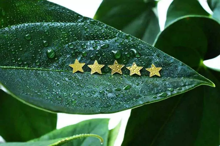 amazon autmatic reviews