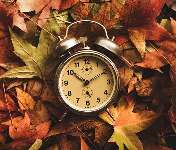 ppc ads seasonality dayparting timezone keywords